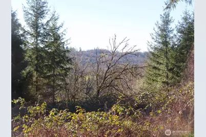 0 Xxx Larson Road, Mossyrock, WA 98564 - Photo 1