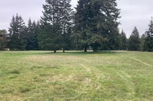 2726 263rd St Ct E, Spanaway, WA 98387 - Photo 24