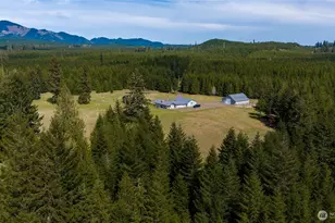 251 W Beeville Rd, Matlock, WA 98560 - Photo 40