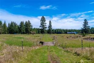 251 W Beeville Rd, Matlock, WA 98560 - Photo 38
