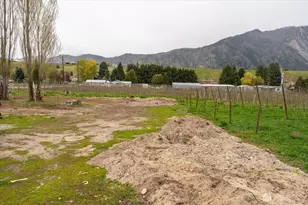 293 Barkley Rd, Manson, WA 98831 - Photo 30