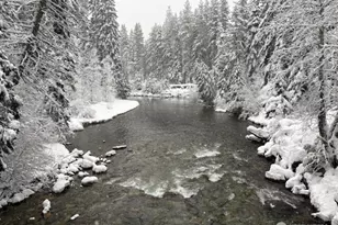 19052 Gill Creek Rd, Lake Wenatchee, WA 98826 - Photo 2