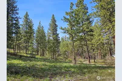 9 Whitebark Lane, Winthrop, WA 98862 - Photo 28