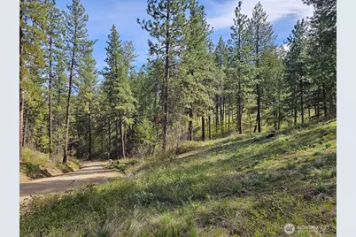 9 Whitebark Lane, Winthrop, WA 98862 - Photo 30