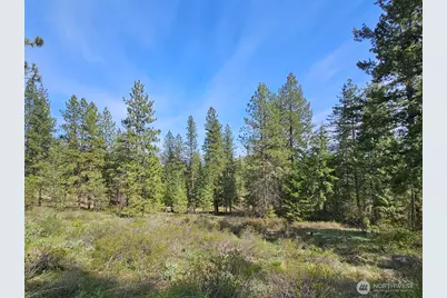 9 Whitebark Lane, Winthrop, WA 98862 - Photo 26