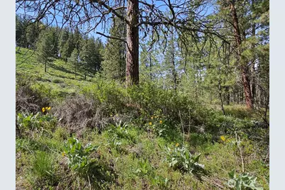 9 Whitebark Lane, Winthrop, WA 98862 - Photo 22