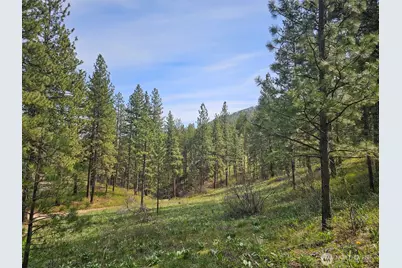 9 Whitebark Lane, Winthrop, WA 98862 - Photo 32