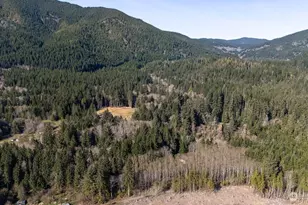 999 Night Hawk Ln, Clallam Bay, WA 98326 - Photo 4