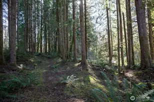 999 Night Hawk Ln, Clallam Bay, WA 98326 - Photo 28