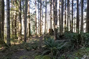 999 Night Hawk Ln, Clallam Bay, WA 98326 - Photo 18