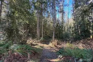 242 Watershed Rd, Port Angeles, WA 98362 - Photo 34
