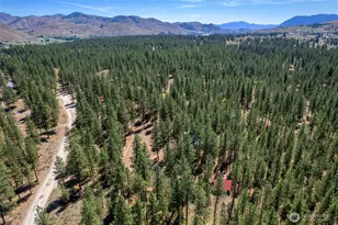 93 Larkspur Dr, Winthrop, WA 98862 - Photo 34