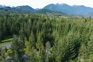 123 Headwaters Ln, Port Angeles, WA 98362 - Photo 36