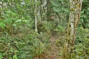 0 Xxx Goss Lake Rd, Langley, WA 98260 - Photo 1