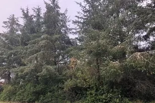 649 Weatherwax Loop NE, Ocean Shores, WA 98569 - Photo 1