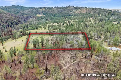 36480 Western Pines Drive N, Davenport, WA 99122 - Photo 28