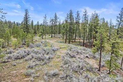 36480 Western Pines Drive N, Davenport, WA 99122 - Photo 18