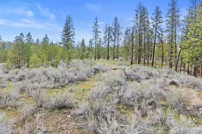 36480 Western Pines Drive N, Davenport, WA 99122 - Photo 24