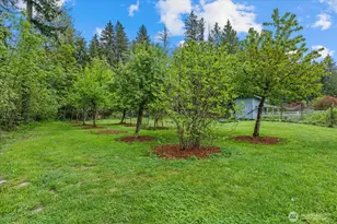 22814 283rd Ave SE, Maple Valley, WA 98038 - Photo 28