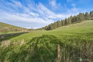 938 Patit Rd, Dayton, WA 99328 - Photo 26