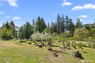 2131 Wagner Rd, Camano Island, WA 98282 - Photo 6