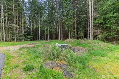 14439 Kayson Lane SE, Tenino, WA 98589 - Photo 4