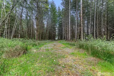 14439 Kayson Lane SE, Tenino, WA 98589 - Photo 16