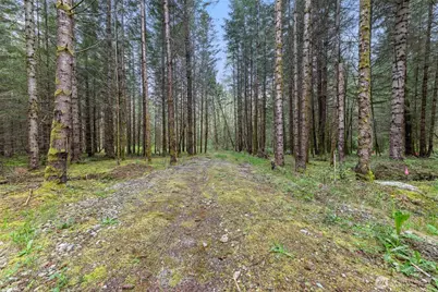 14439 Kayson Lane SE, Tenino, WA 98589 - Photo 10