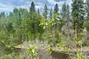 400 Bluff St, Winthrop, WA 98862 - Photo 30