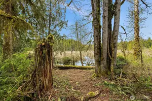 8042 243rd Pl NE, Redmond, WA 98053 - Photo 36