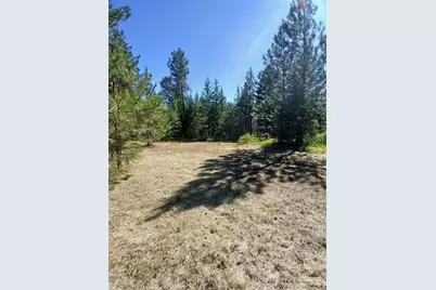 38 Broser Way W, Tonasket, WA 98855 - Photo 36
