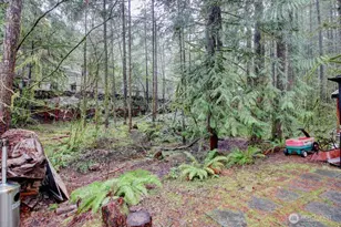 243 Schinn Canyon Ct, Deming, WA 98244 - Photo 8