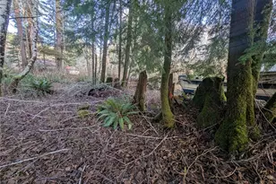 300 Sekiu River Rd, Sekiu, WA 98381 - Photo 12