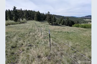 84 1/2 Pratt Road, Oroville, WA 98831 - Photo 12