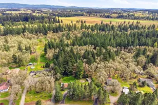 17710 Mima Acres Dr SE, Tenino, WA 98589 - Photo 38