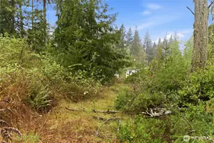 6557 Cultus Bay Rd, Clinton, WA 98236 - Photo 32