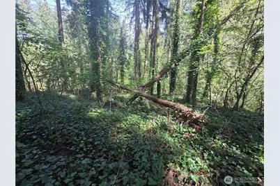 0 NE 45th Avenue, Vancouver, WA 98686 - Photo 12