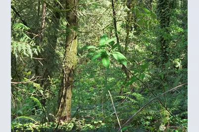 0 NE 45th Avenue, Vancouver, WA 98686 - Photo 18
