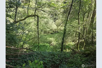 0 NE 45th Avenue, Vancouver, WA 98686 - Photo 10