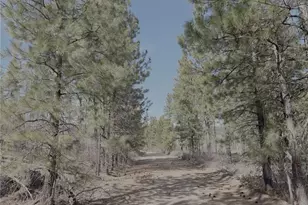 176 Cook Mountain Road N, Okanogan, WA 98840 - Photo 28