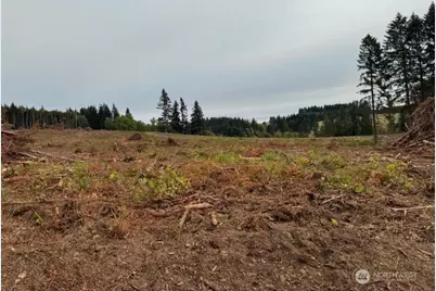 119 Woodberry Lane, Winlock, WA 98596 - Photo 16