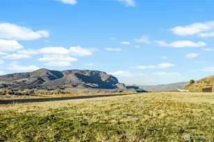 675 Peach Rd, Waterville, WA 98858 - Photo 20