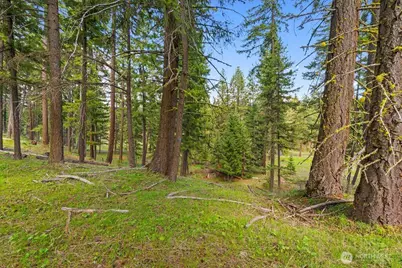14 Rainbow Court, Cle Elum, WA 98922 - Photo 8