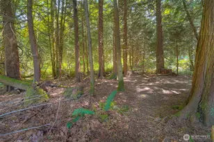 8163 NE Eaglepoint Ln, Kingston, WA 98346 - Photo 38