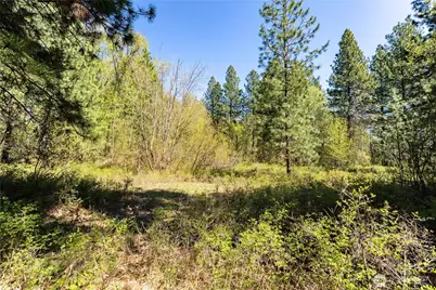 19 Green Road, Winthrop, WA 98862 - Photo 12