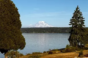 10601 87th St Ct, Anderson Island, WA 98303 - Photo 14
