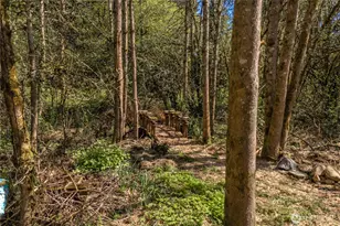 4715 116th Ave E, Edgewood, WA 98372 - Photo 36