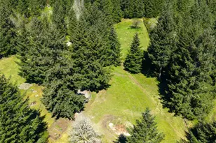 5010 Offut Lake Rd SE, Tenino, WA 98589 - Photo 32
