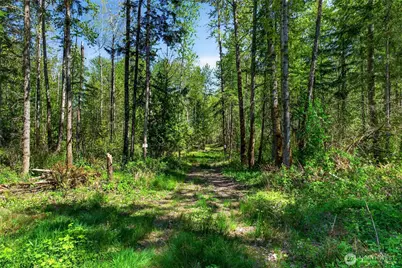 28461 Mountain Hwy E, Graham, WA 98338 - Photo 8