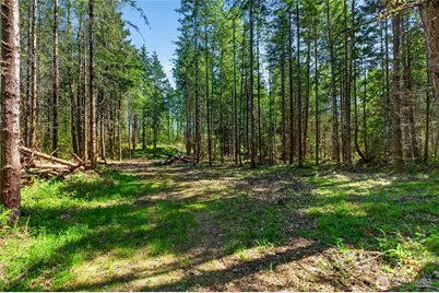 28461 Mountain Hwy E, Graham, WA 98338 - Photo 12